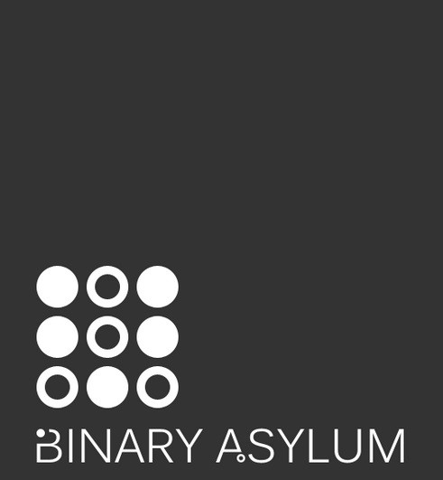 Binary Asylum is a software engineer with expertise in video game development